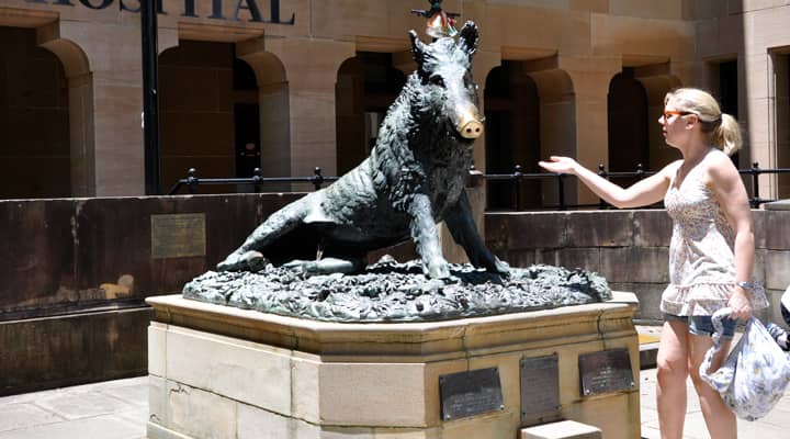  A tourist touching the statue of Il Porcellino